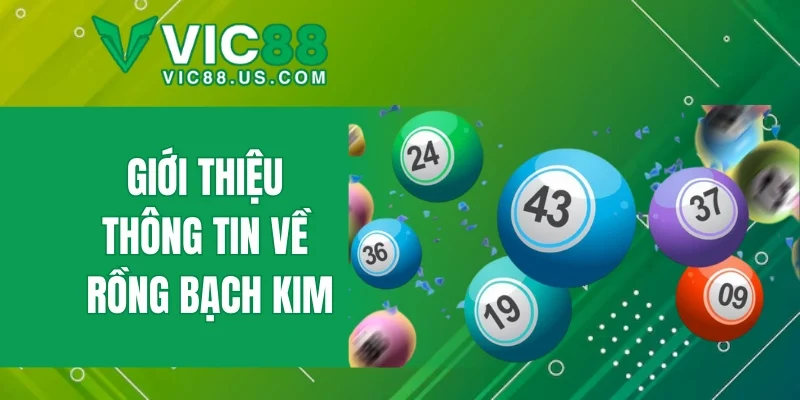 Giới thiệu thông tin về Rồng Bạch Kim